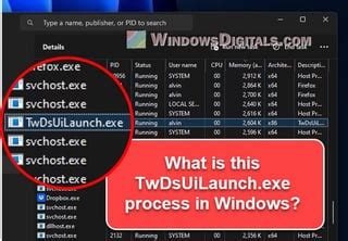 what is twdsuilaunch.exe|What does TwDsUiLaunch.exe do and Can I Disable。